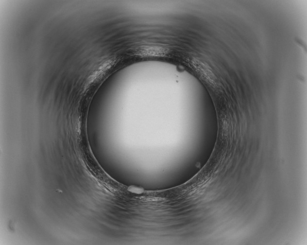 X0000098020539200804111300