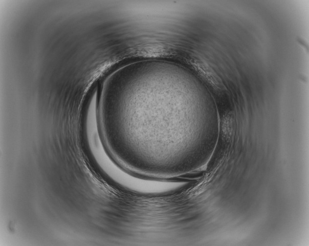 X0000098020540200804111300