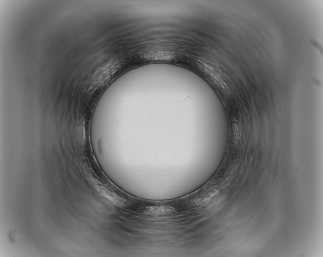 X0000098020541200804111300