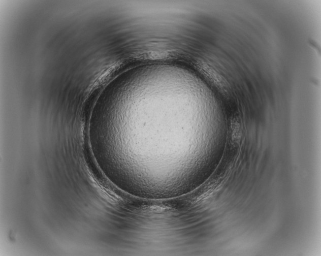 X0000098020542200804111300