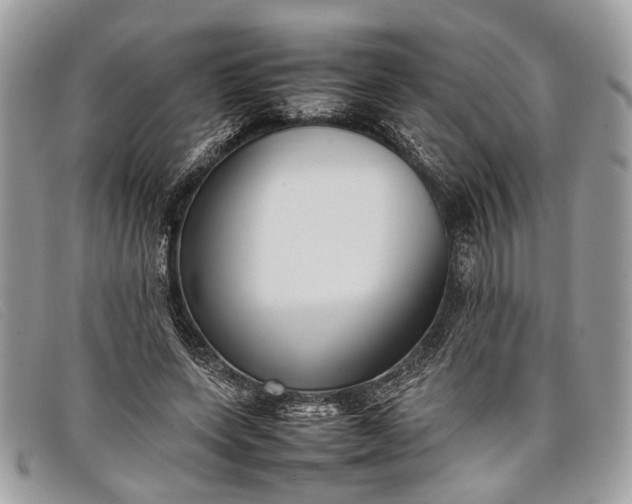 X0000098020543200804111300