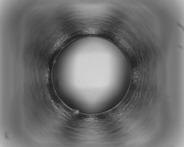 X0000098020544200804111301