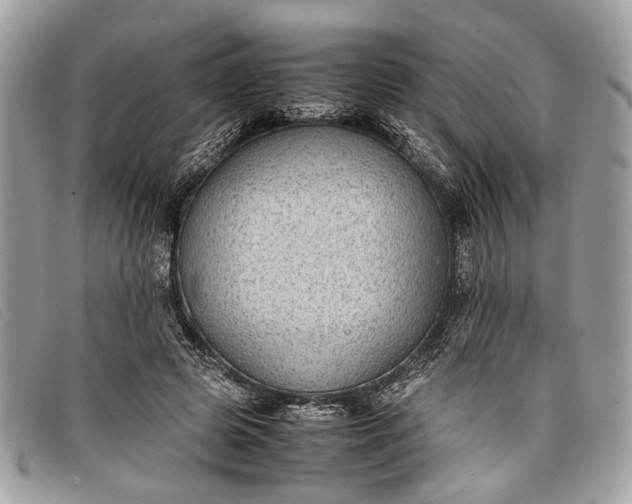 X0000098020545200804111301