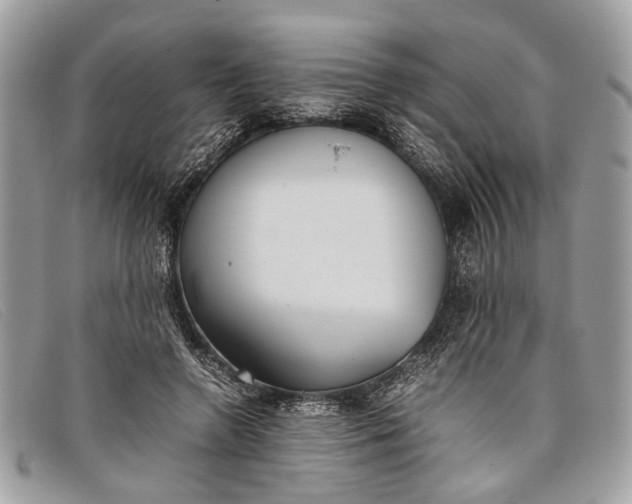 X0000098020546200804111301