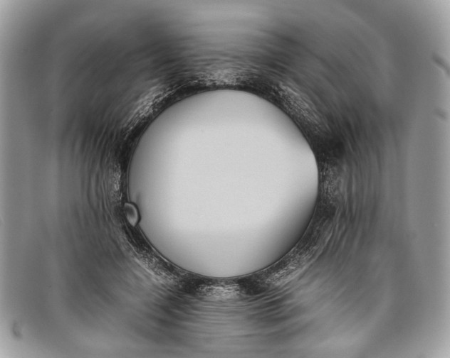 X0000098020548200804111301