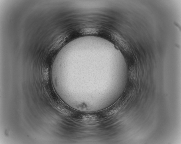 X0000098020549200804111301