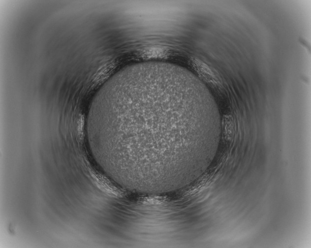 X0000098020550200804111301