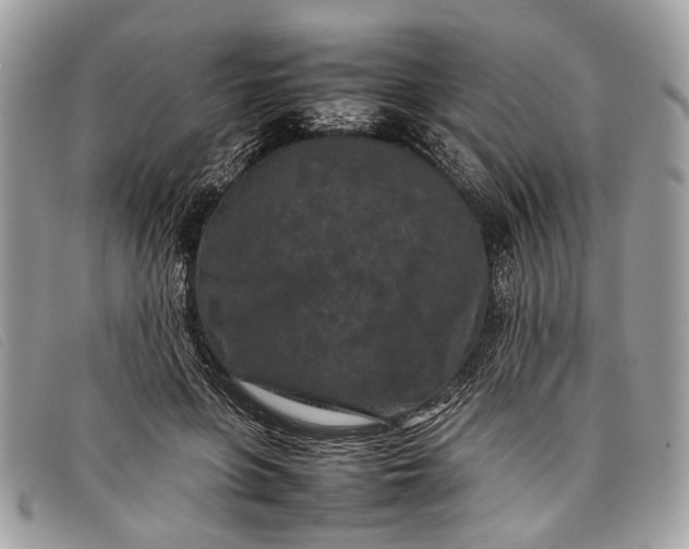 X0000098020551200804111301