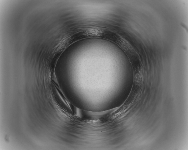 X0000098020552200804111301