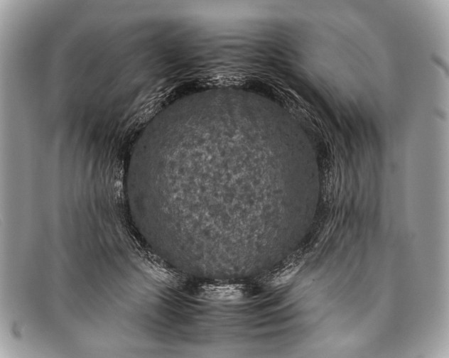 X0000098020553200804111301