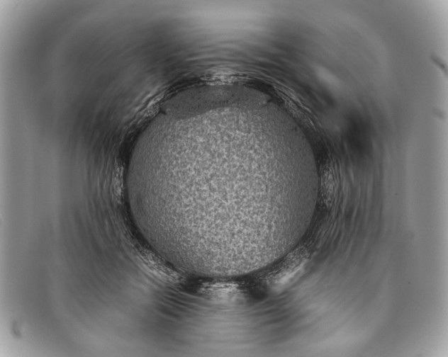 X0000098020554200804111301