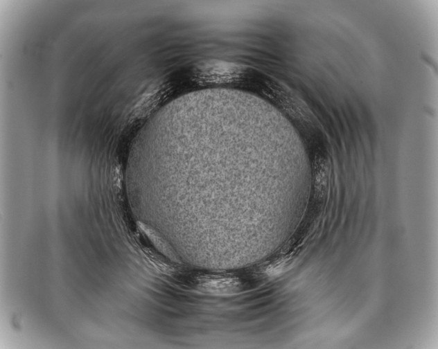 X0000098020555200804111301