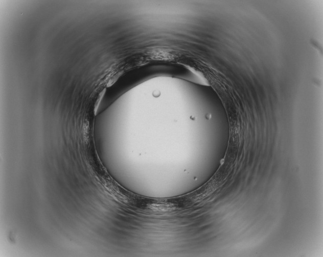 X0000098020556200804111301