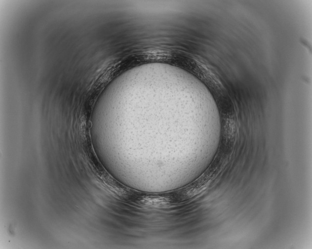 X0000098020557200804111301