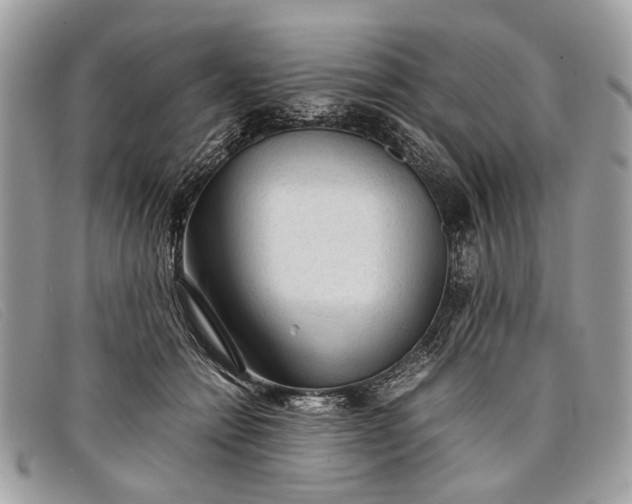 X0000098020558200804111301