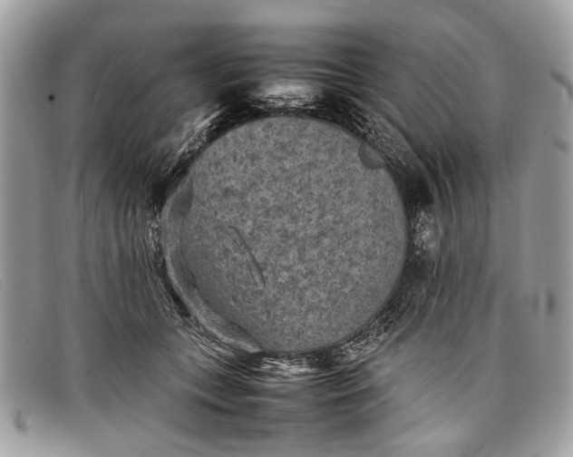 X0000098020559200804111301