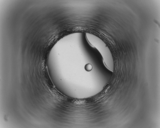 X0000098020560200804111301