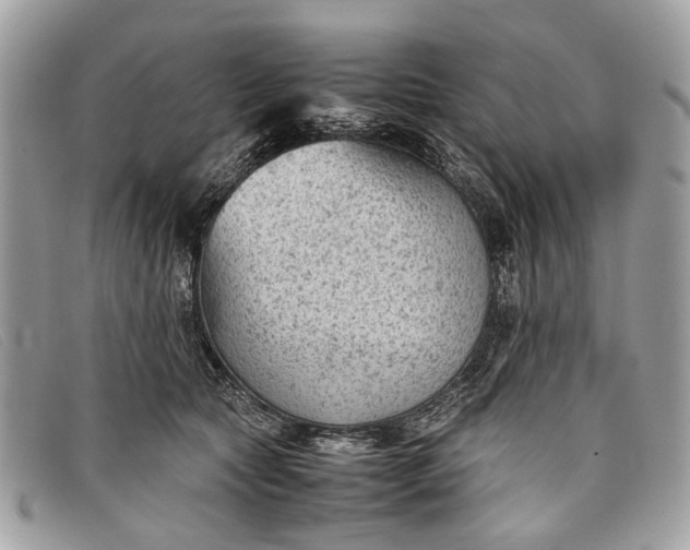 X0000098020561200804111301