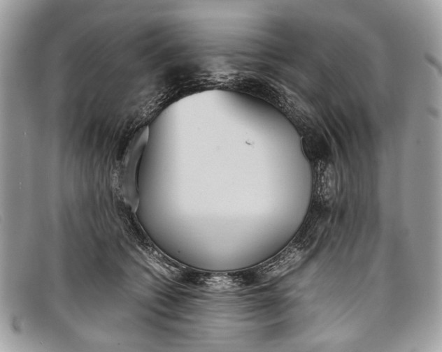 X0000098020562200804111301