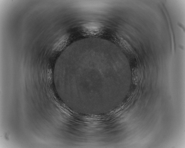 X0000098020563200804111301