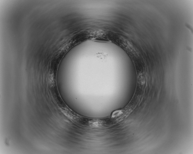 X0000098020564200804111301