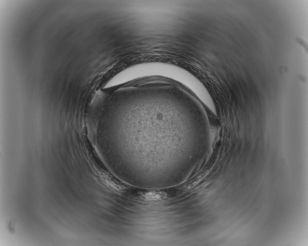 X0000098020566200804111301