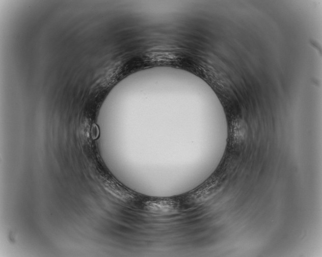 X0000098020567200804111301