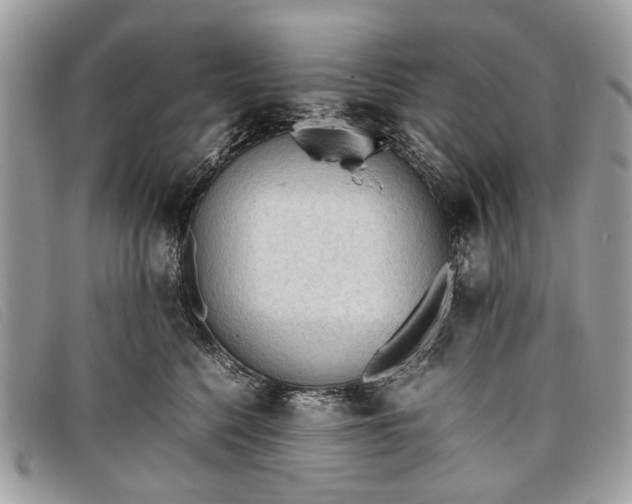 X0000098020568200804111301