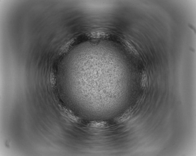 X0000098020569200804111301