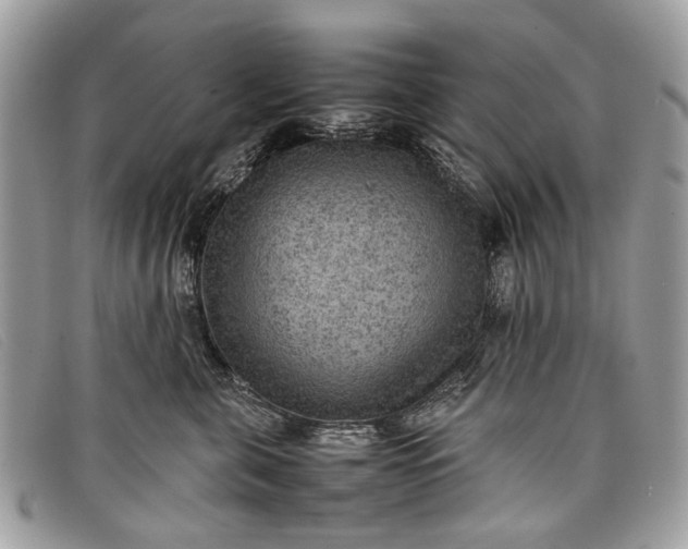 X0000098020571200804111301