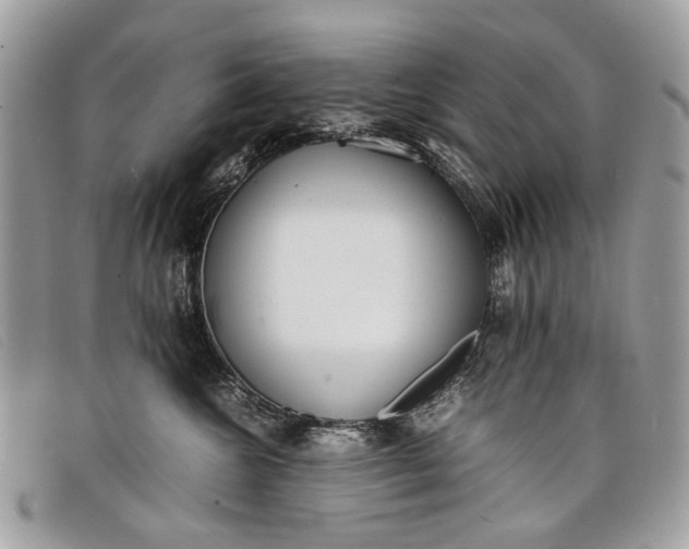 X0000098020572200804111301