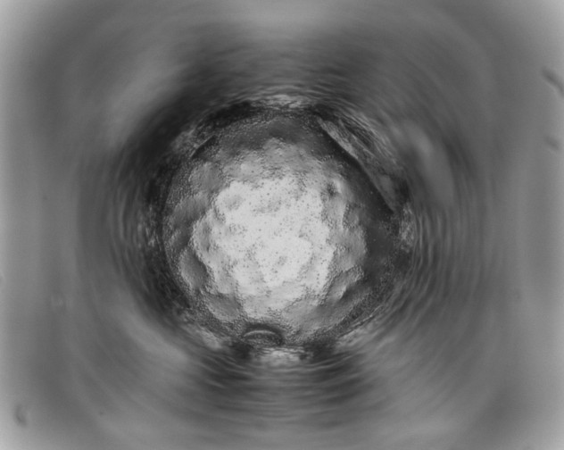 X0000098020573200804111301