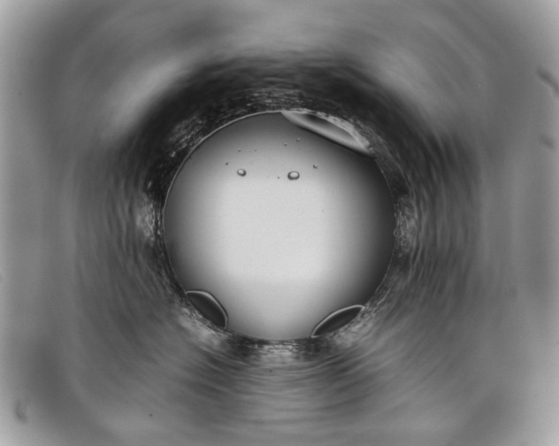 X0000098020574200804111301