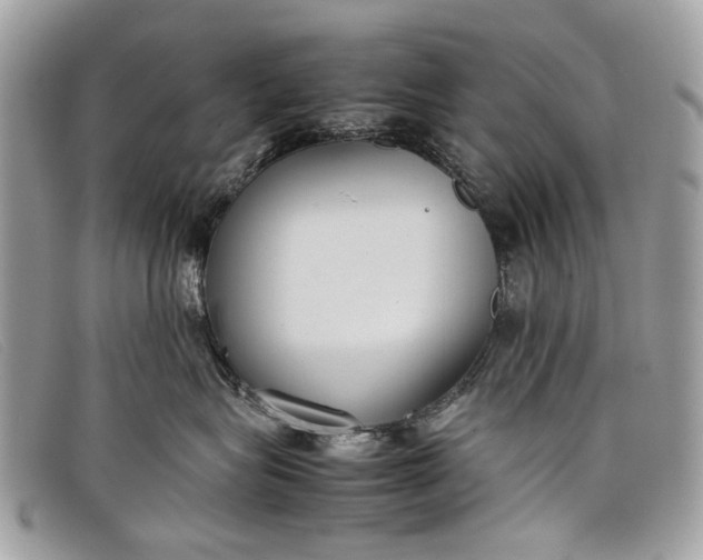 X0000098020575200804111301