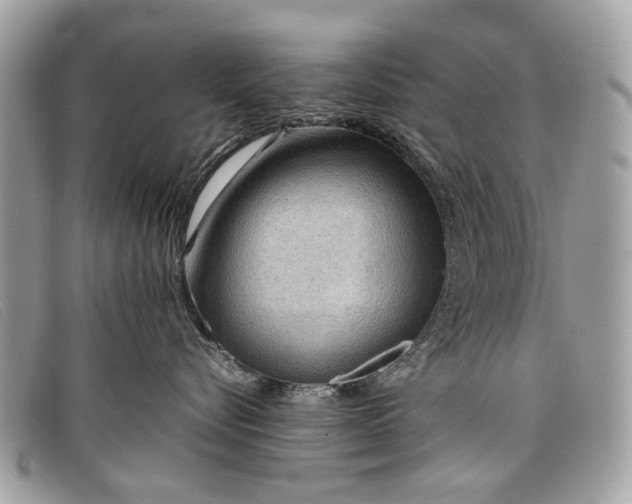 X0000098020576200804111301