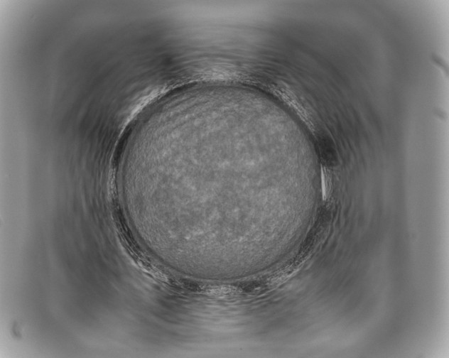 X0000098020579200804111300