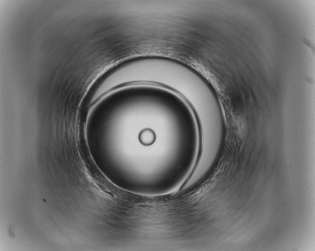 X0000098020580200804111300