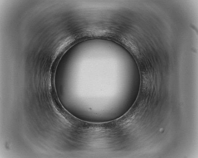 X0000098020582200804111300