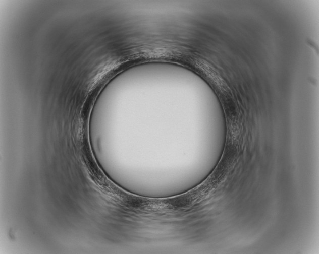 X0000098020583200804111300