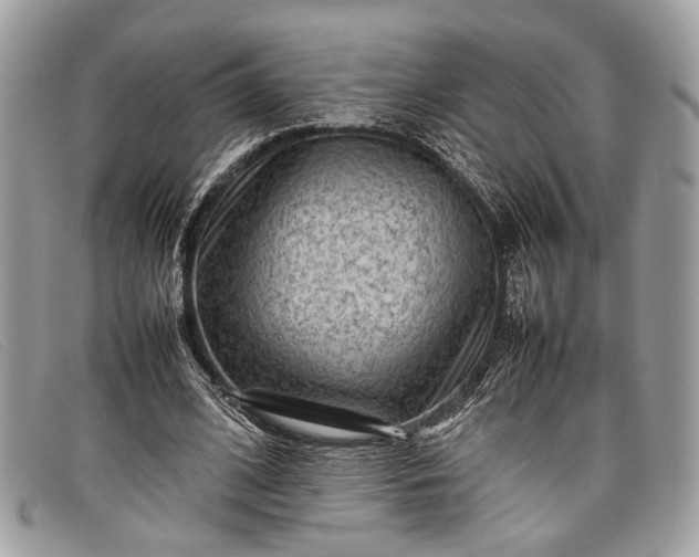 X0000098020584200804111300