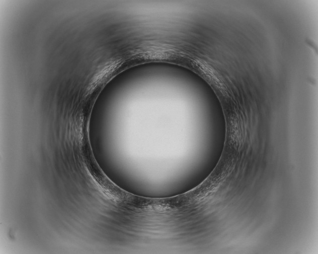 X0000098020586200804111300