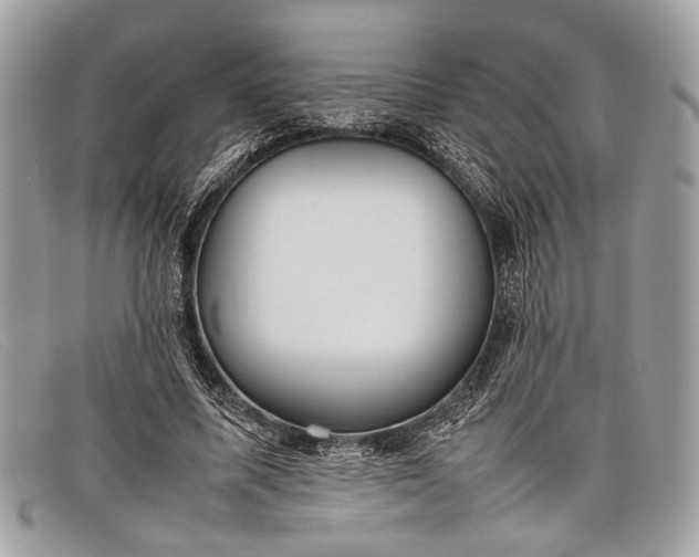 X0000098020587200804111300