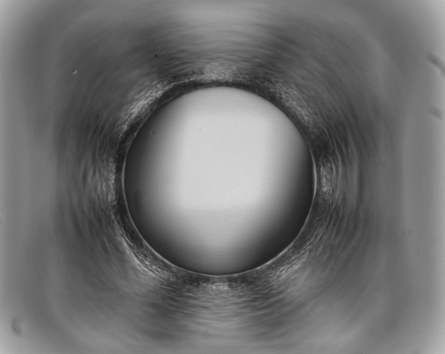 X0000098020588200804111300