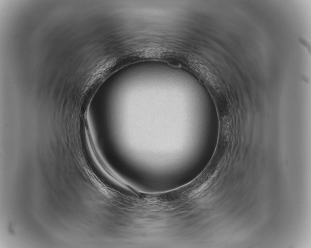 X0000098020589200804111300