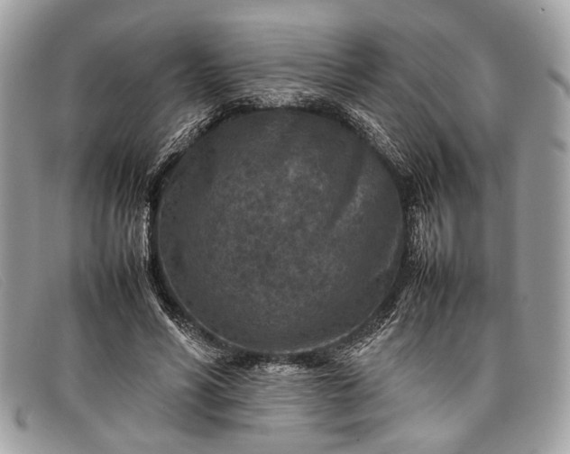 X0000098020590200804111300