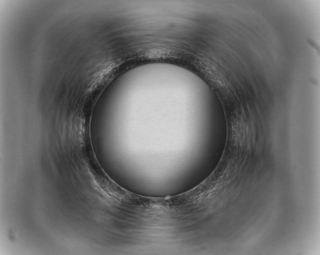 X0000098020592200804111300