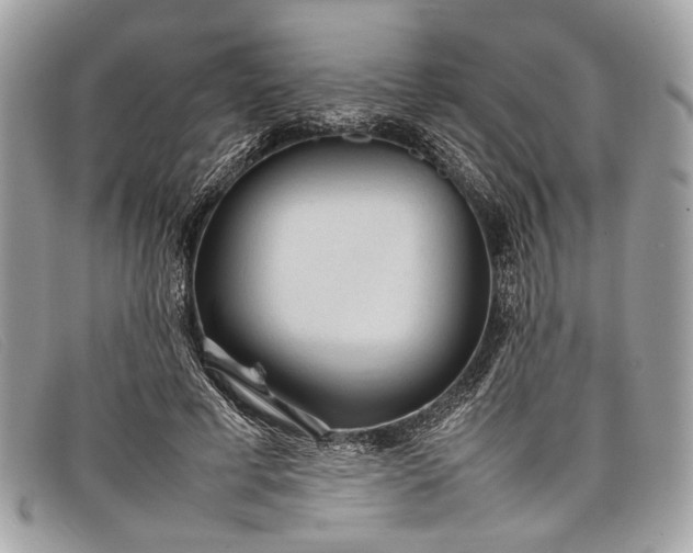 X0000098020593200804111300