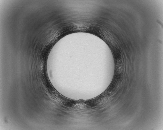 X0000098020595200804111300