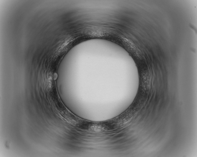 X0000098020596200804111300