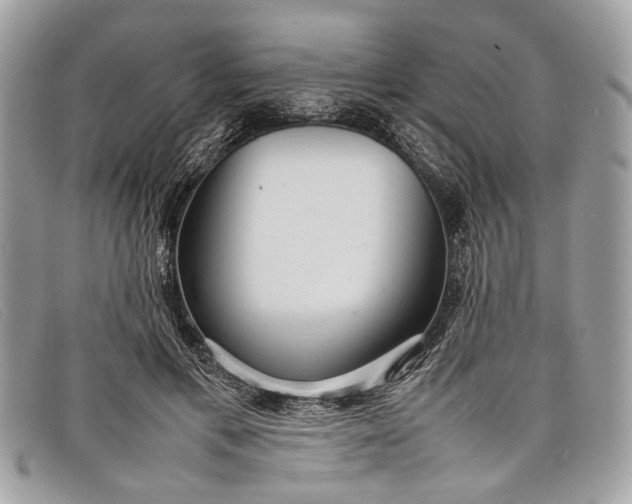 X0000098020597200804111300